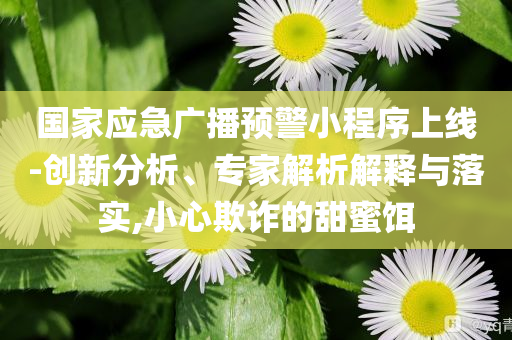 國家應(yīng)急廣播預(yù)警小程序上線-創(chuàng)新分析、專家解析解釋與落實,小心欺詐的甜蜜餌