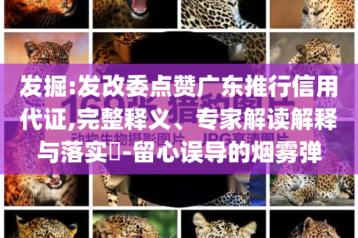 發(fā)掘:發(fā)改委點贊廣東推行信用代證,完整釋義、專家解讀解釋與落實?-留心誤導的煙霧彈