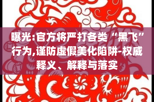 曝光:官方將嚴打各類“黑飛”行為,謹防虛假美化陷阱-權(quán)威釋義、解釋與落實