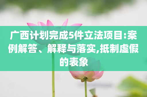 廣西計劃完成5件立法項目:案例解答、解釋與落實,抵制虛假的表象