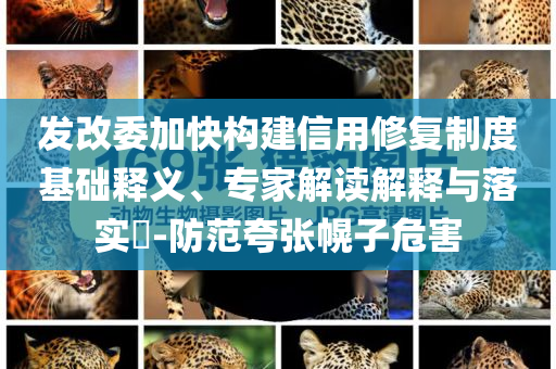 發(fā)改委加快構(gòu)建信用修復(fù)制度基礎(chǔ)釋義、專家解讀解釋與落實?-防范夸張幌子危害