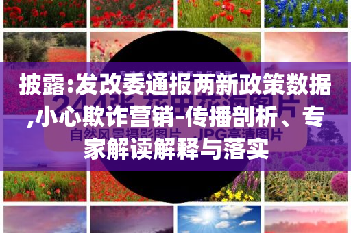 披露:發(fā)改委通報兩新政策數(shù)據(jù),小心欺詐營銷-傳播剖析、專家解讀解釋與落實