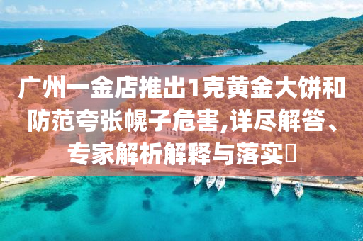 廣州一金店推出1克黃金大餅和防范夸張幌子危害,詳盡解答、專家解析解釋與落實(shí)?