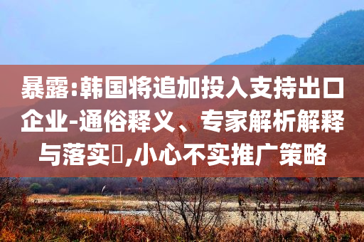 暴露:韓國將追加投入支持出口企業(yè)-通俗釋義、專家解析解釋與落實?,小心不實推廣策略