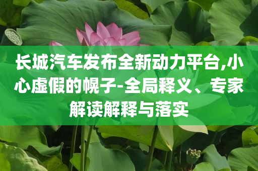 長城汽車發(fā)布全新動力平臺,小心虛假的幌子-全局釋義、專家解讀解釋與落實(shí)