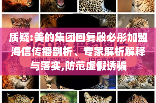 質(zhì)疑:美的集團(tuán)回復(fù)殷必彤加盟海信傳播剖析、專家解析解釋與落實(shí),防范虛假誘騙