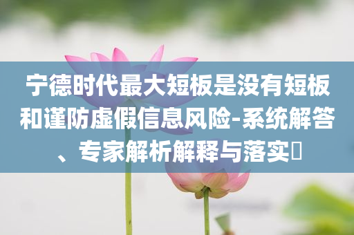 寧德時代最大短板是沒有短板和謹防虛假信息風險-系統(tǒng)解答、專家解析解釋與落實?