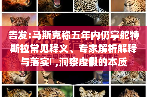 告發(fā):馬斯克稱五年內(nèi)仍掌舵特斯拉常見釋義、專家解析解釋與落實?,洞察虛假的本質(zhì)