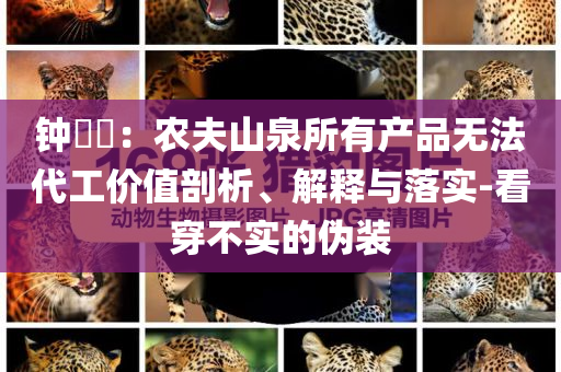 鐘睒睒：農(nóng)夫山泉所有產(chǎn)品無法代工價(jià)值剖析、解釋與落實(shí)-看穿不實(shí)的偽裝
