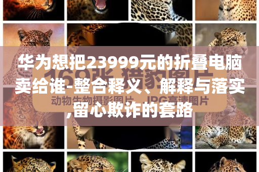 華為想把23999元的折疊電腦賣給誰-整合釋義、解釋與落實,留心欺詐的套路