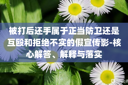 被打后還手屬于正當(dāng)防衛(wèi)還是互毆和拒絕不實(shí)的假宣傳影-核心解答、解釋與落實(shí)