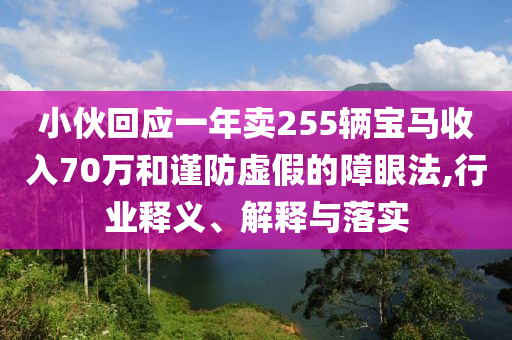 小伙回應一年賣255輛寶馬收入70萬和謹防虛假的障眼法,行業(yè)釋義、解釋與落實