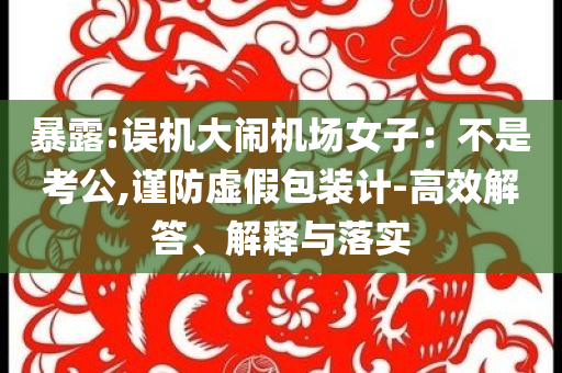 暴露:誤機(jī)大鬧機(jī)場女子：不是考公,謹(jǐn)防虛假包裝計(jì)-高效解答、解釋與落實(shí)