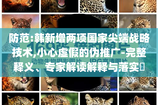 防范:韓新增兩項國家尖端戰(zhàn)略技術(shù),小心虛假的偽推廣-完整釋義、專家解讀解釋與落實?