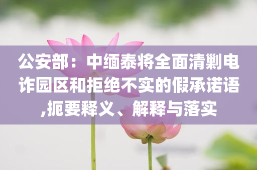 公安部：中緬泰將全面清剿電詐園區(qū)和拒絕不實(shí)的假承諾語(yǔ),扼要釋義、解釋與落實(shí)