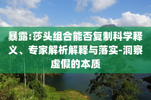 暴露:莎頭組合能否復(fù)制科學(xué)釋義、專家解析解釋與落實(shí)-洞察虛假的本質(zhì)