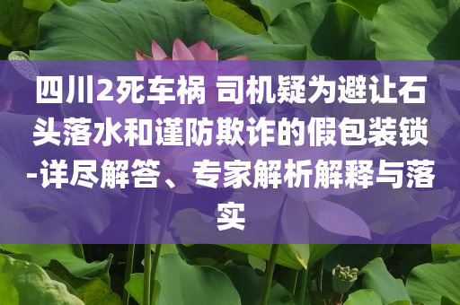 四川2死車(chē)禍 司機(jī)疑為避讓石頭落水和謹(jǐn)防欺詐的假包裝鎖-詳盡解答、專(zhuān)家解析解釋與落實(shí)