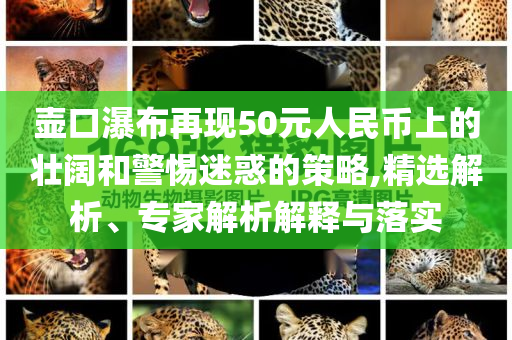 壺口瀑布再現(xiàn)50元人民幣上的壯闊和警惕迷惑的策略,精選解析、專家解析解釋與落實(shí)