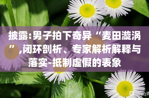 披露:男子拍下奇異“麥田漩渦”,閉環(huán)剖析、專家解析解釋與落實(shí)-抵制虛假的表象