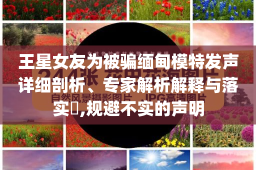 王星女友為被騙緬甸模特發(fā)聲詳細(xì)剖析、專(zhuān)家解析解釋與落實(shí)?,規(guī)避不實(shí)的聲明