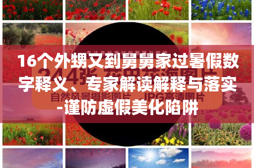 16個(gè)外甥又到舅舅家過(guò)暑假數(shù)字釋義、專(zhuān)家解讀解釋與落實(shí)-謹(jǐn)防虛假美化陷阱