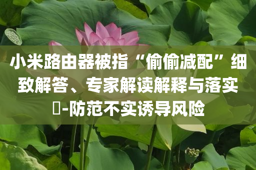 小米路由器被指“偷偷減配”細致解答、專家解讀解釋與落實?-防范不實誘導風險