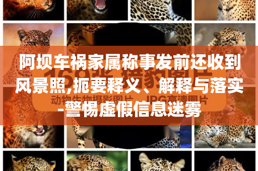 阿壩車禍家屬稱事發(fā)前還收到風(fēng)景照,扼要釋義、解釋與落實(shí)-警惕虛假信息迷霧