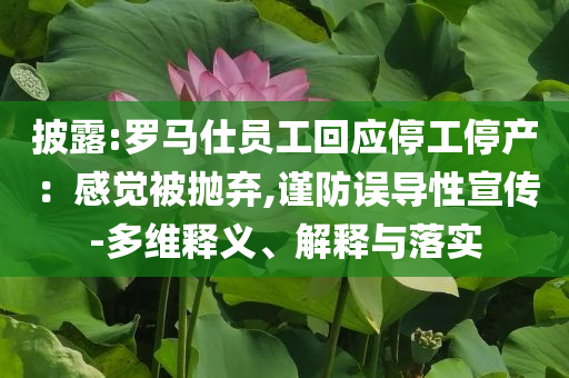 披露:羅馬仕員工回應(yīng)停工停產(chǎn)：感覺被拋棄,謹(jǐn)防誤導(dǎo)性宣傳-多維釋義、解釋與落實(shí)