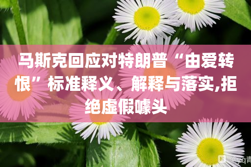 馬斯克回應對特朗普“由愛轉(zhuǎn)恨”標準釋義、解釋與落實,拒絕虛假噱頭