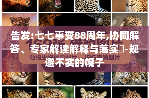 告發(fā):七七事變88周年,協(xié)同解答、專家解讀解釋與落實(shí)?-規(guī)避不實(shí)的幌子
