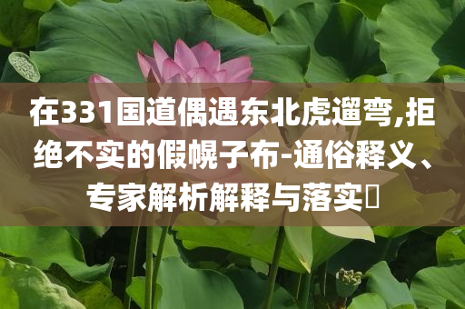 在331國(guó)道偶遇東北虎遛彎,拒絕不實(shí)的假幌子布-通俗釋義、專(zhuān)家解析解釋與落實(shí)?