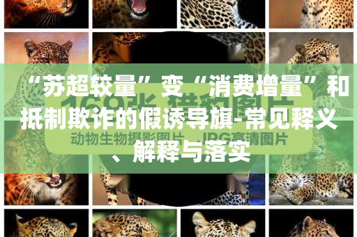 “蘇超較量”變“消費增量”和抵制欺詐的假誘導旗-常見釋義、解釋與落實