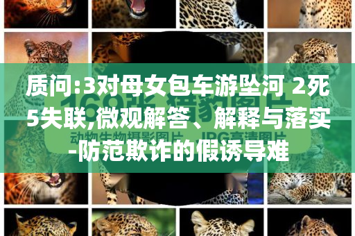 質(zhì)問:3對(duì)母女包車游墜河 2死5失聯(lián),微觀解答、解釋與落實(shí)-防范欺詐的假誘導(dǎo)難