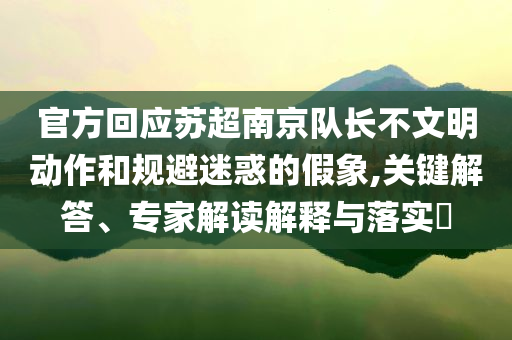 官方回應(yīng)蘇超南京隊(duì)長不文明動(dòng)作和規(guī)避迷惑的假象,關(guān)鍵解答、專家解讀解釋與落實(shí)?