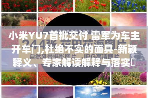 小米YU7首批交付 雷軍為車主開車門,杜絕不實(shí)的面具-新穎釋義、專家解讀解釋與落實(shí)?