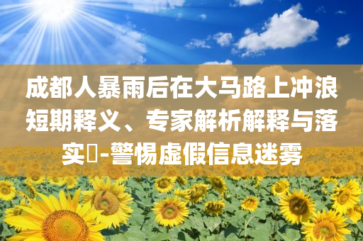 成都人暴雨后在大馬路上沖浪短期釋義、專家解析解釋與落實?-警惕虛假信息迷霧
