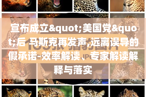 宣布成立"美國黨"后 馬斯克再發(fā)聲,遠離誤導的假承諾-效率解讀、專家解讀解釋與落實
