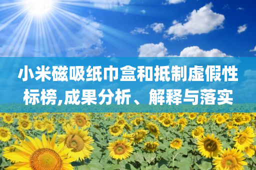 小米磁吸紙巾盒和抵制虛假性標榜,成果分析、解釋與落實
