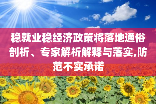 穩(wěn)就業(yè)穩(wěn)經(jīng)濟(jì)政策將落地通俗剖析、專家解析解釋與落實(shí),防范不實(shí)承諾