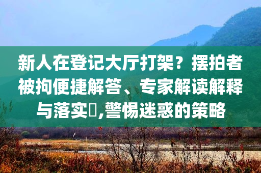 新人在登記大廳打架？擺拍者被拘便捷解答、專家解讀解釋與落實?,警惕迷惑的策略