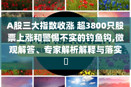 A股三大指數(shù)收漲 超3800只股票上漲和警惕不實(shí)的釣魚鉤,微觀解答、專家解析解釋與落實(shí)?