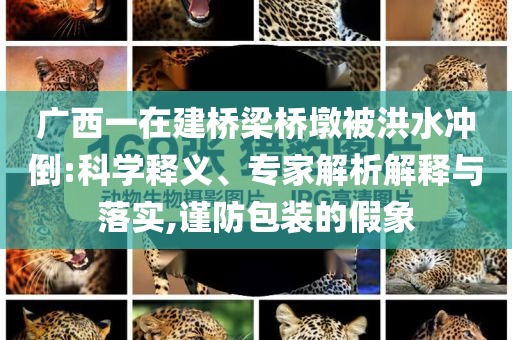 廣西一在建橋梁橋墩被洪水沖倒:科學(xué)釋義、專(zhuān)家解析解釋與落實(shí),謹(jǐn)防包裝的假象