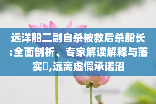 遠洋船二副自殺被救后殺船長:全面剖析、專家解讀解釋與落實?,遠離虛假承諾沼