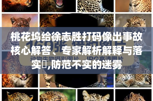 桃花塢給徐志勝打碼像出事故核心解答、專家解析解釋與落實?,防范不實的迷霧