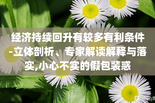 經(jīng)濟持續(xù)回升有較多有利條件-立體剖析、專家解讀解釋與落實,小心不實的假包裝惑