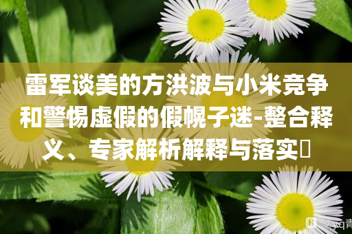 雷軍談美的方洪波與小米競(jìng)爭(zhēng)和警惕虛假的假幌子迷-整合釋義、專家解析解釋與落實(shí)?
