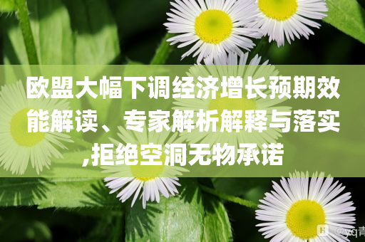 歐盟大幅下調(diào)經(jīng)濟(jì)增長(zhǎng)預(yù)期效能解讀、專家解析解釋與落實(shí),拒絕空洞無(wú)物承諾