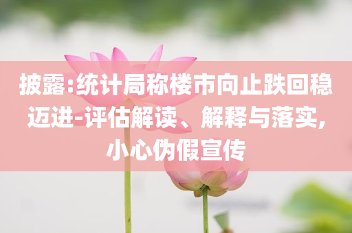 披露:統(tǒng)計(jì)局稱樓市向止跌回穩(wěn)邁進(jìn)-評估解讀、解釋與落實(shí),小心偽假宣傳