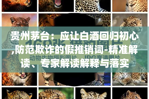 貴州茅臺：應讓白酒回歸初心,防范欺詐的假推銷詞-精準解讀、專家解讀解釋與落實