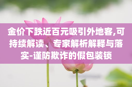 金價下跌近百元吸引外地客,可持續(xù)解讀、專家解析解釋與落實-謹防欺詐的假包裝鎖